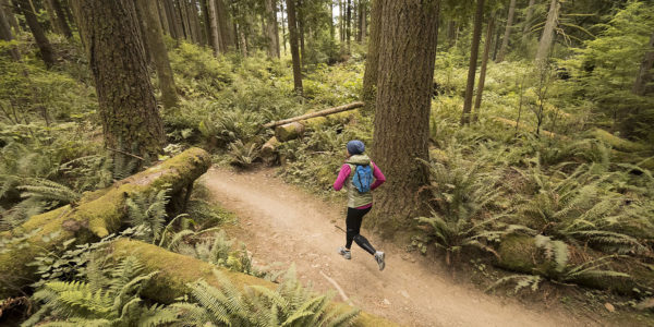 Silver Falls Trail Runs - Welcome to our new website!